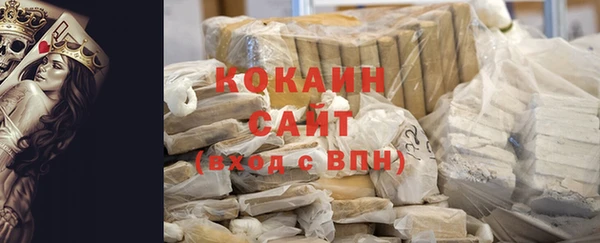 шишки Бронницы