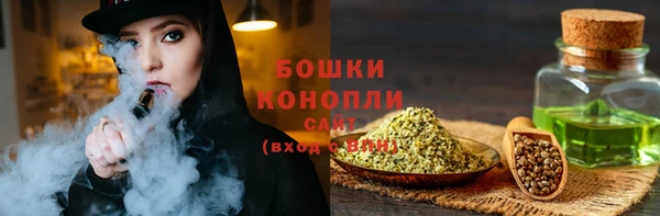 шишки Бронницы