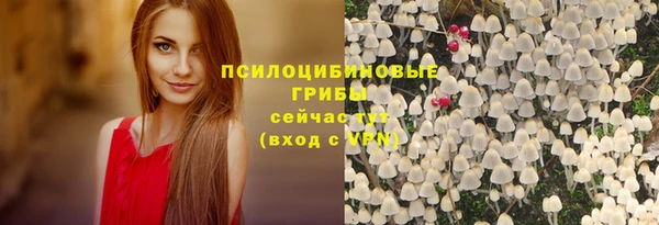 первитин Бородино
