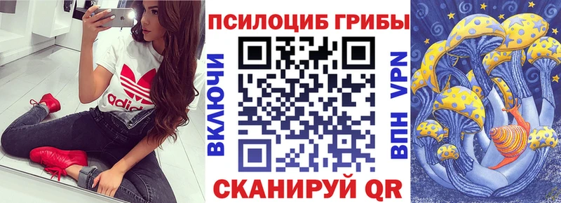 MEGA ONION  Питкяранта  Псилоцибиновые грибы MAGIC MUSHROOMS 